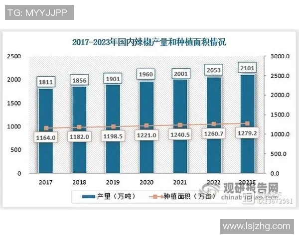 重庆排球队在联合会杯中的实力展现与未来发展潜力分析