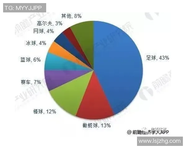 美国全国足球明星的崛起与影响力探讨及未来发展趋势分析 美国全国足球明星的崛起与影响力探讨及未来发展趋势分析